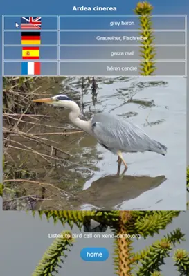 Birds of Europe (DE EN ES FR) android App screenshot 0