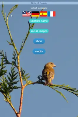 Birds of Europe (DE EN ES FR) android App screenshot 1