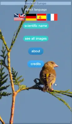 Birds of Europe (DE EN ES FR) android App screenshot 3